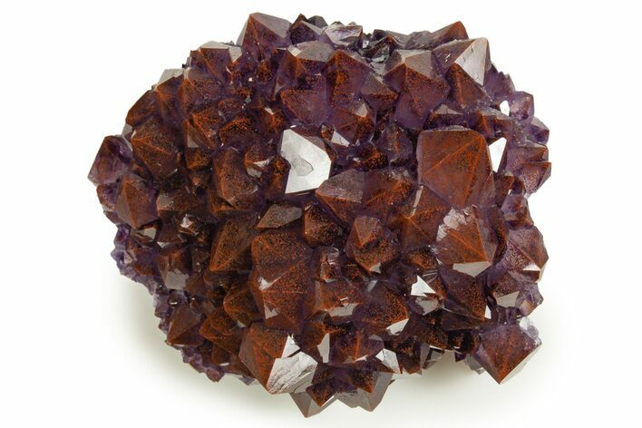 Thunder Bay Amethyst Cluster with Hematite - Top Quality! #326406